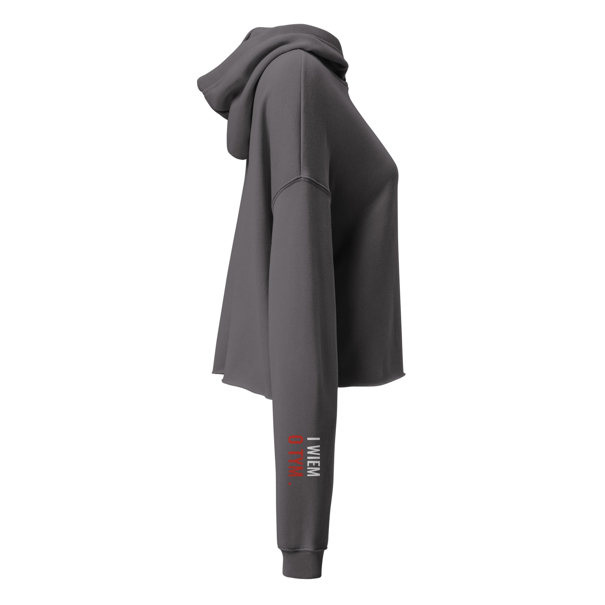 Die rechte Seite des grauen Hoodies mit der Fortführung des Embrace-Effekts: Der Print „i wjem o tym “ auf dem rechten Ärmel.