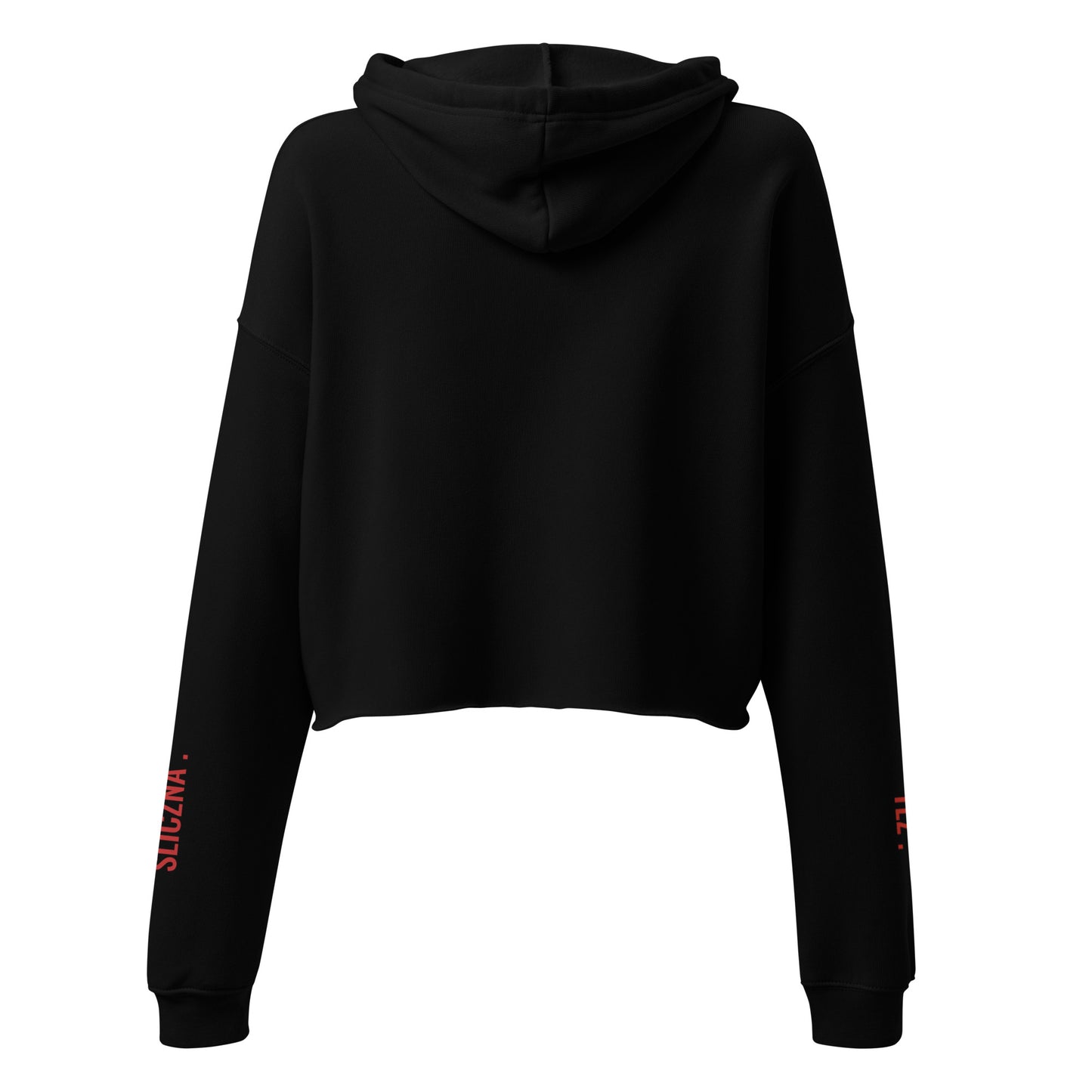 Rückansicht des Hoodies. Seitlich an den Ärmeln blitzen die roten Teile des Prints hervor und rahmen die Kapuze und den kurzen Schnitt ein.
