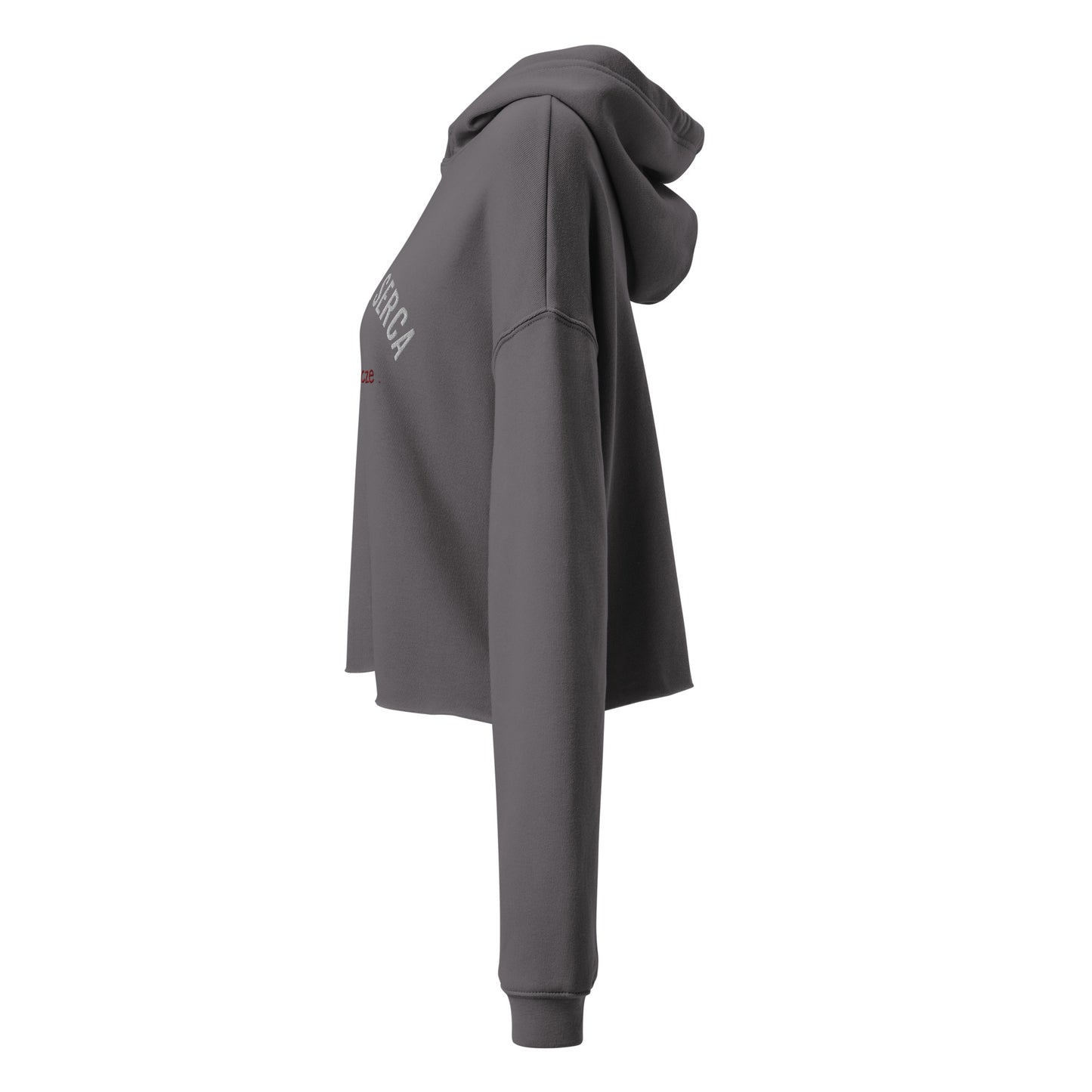 Seitenansicht (links) eines grauen Cropped Hoodies von POLCOUTURE. Der Hoodie hat einen modernen, kurzen Schnitt mit weit geschnittenen Ärmeln und einer Kapuze. Ein Teil der Stickerei ist sichtbar.