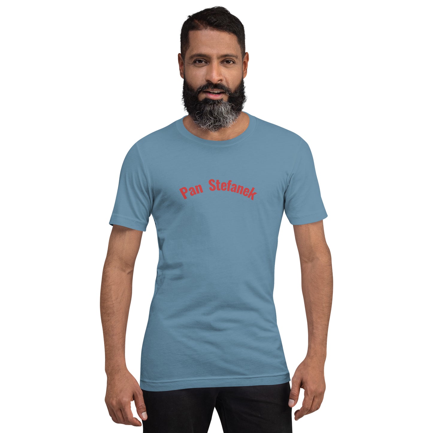 Frontalansicht eines Models in einem stahlblauen (Steel Blue) POLCOUTURE Unisex-T-Shirt. Zentriert auf der Brust ist der Schriftzug „Pan Stefanek“ in einer klaren, roten Schrift aufgedruckt.