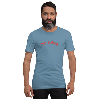 Frontalansicht eines Models in einem stahlblauen (Steel Blue) POLCOUTURE Unisex-T-Shirt. Zentriert auf der Brust ist der Schriftzug „Pan Stefanek“ in einer klaren, roten Schrift aufgedruckt.